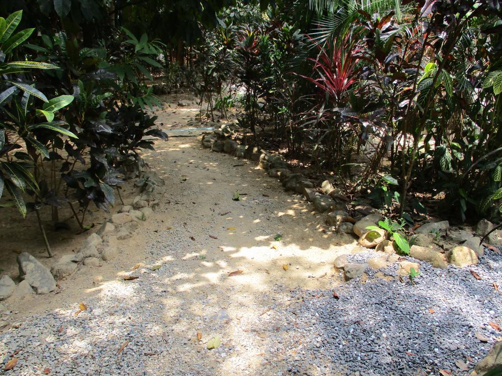 Khaosok Island Resort Khao Sok National Park Eksteriør bilde