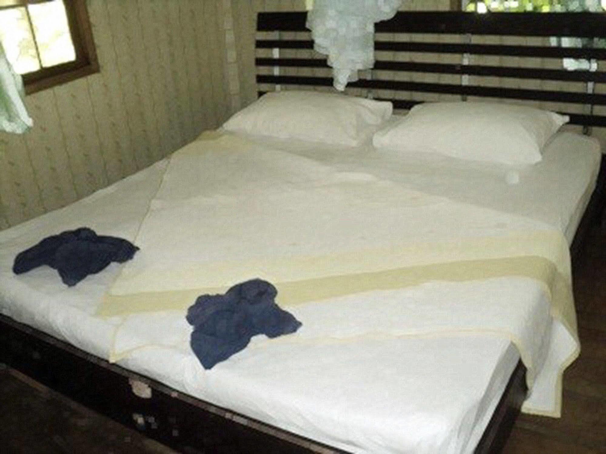 Khaosok Island Resort Khao Sok National Park Eksteriør bilde