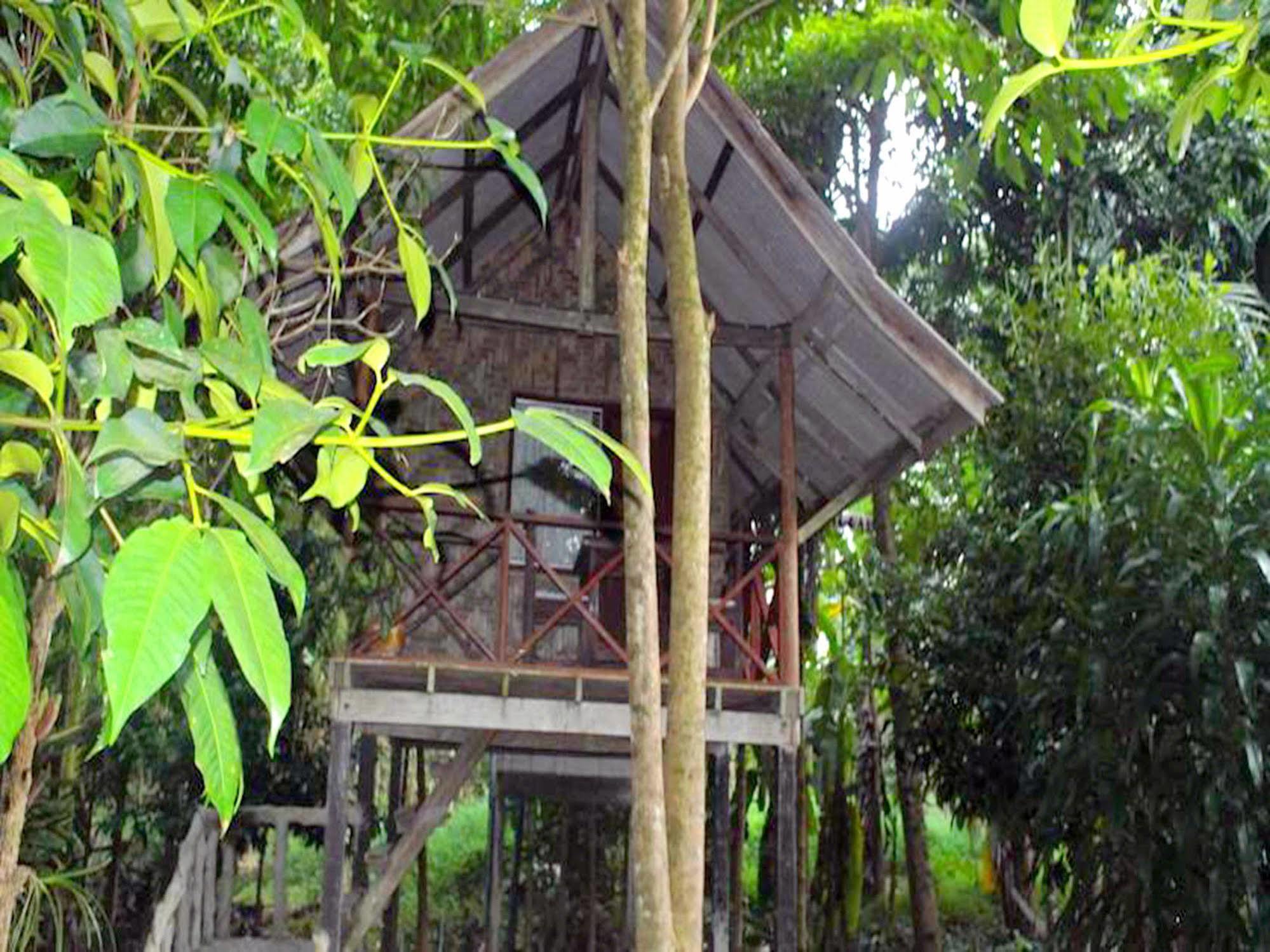 Khaosok Island Resort Khao Sok National Park Eksteriør bilde